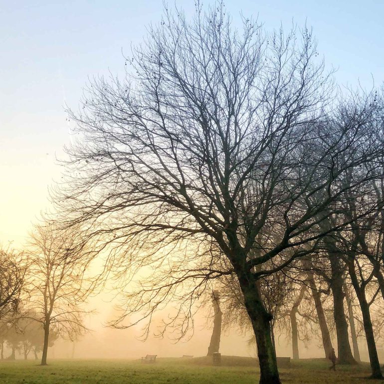 Ashton Park, Preston