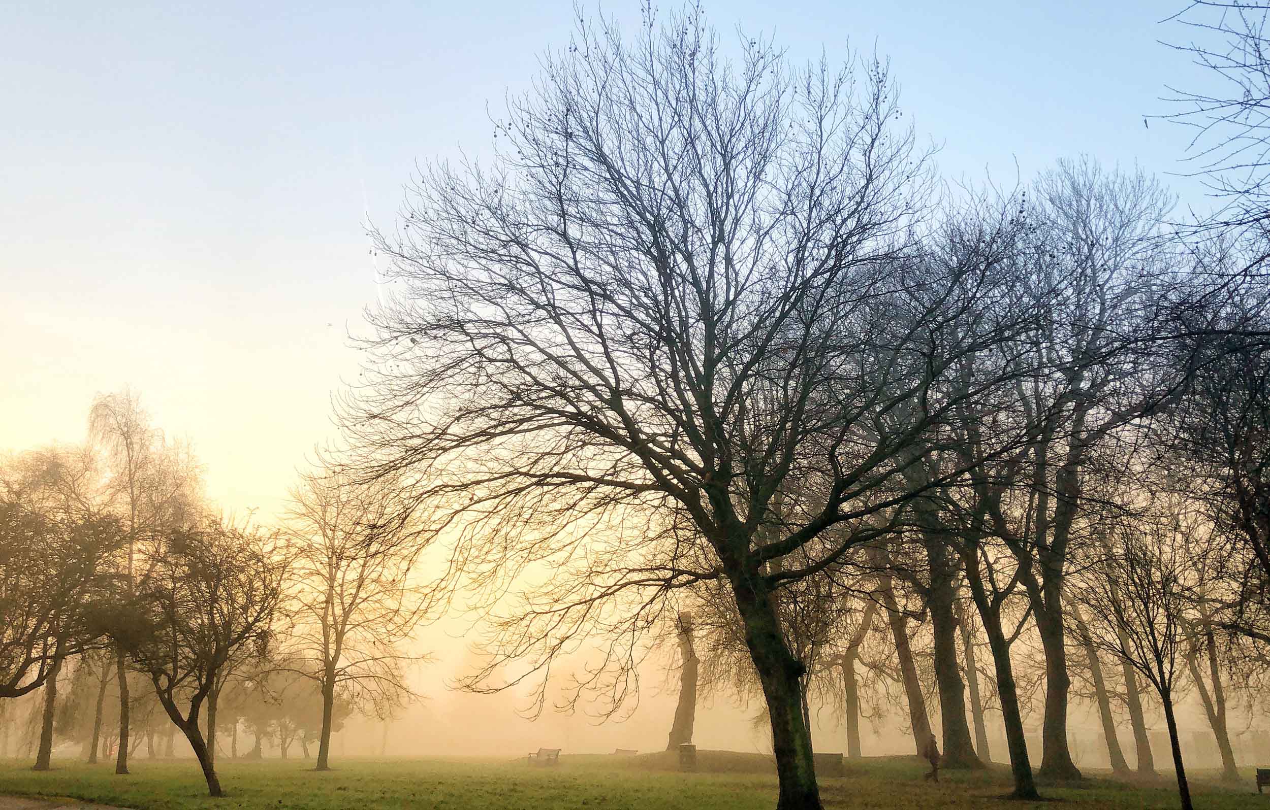 Ashton Park, Preston