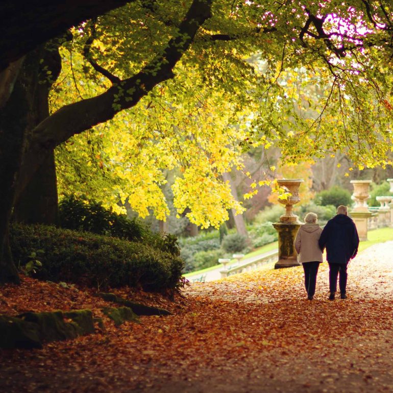 Avenham and Miller Park