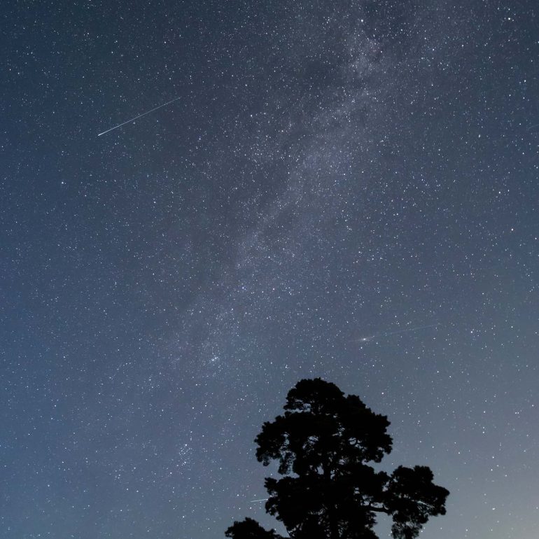 Milky Way over pine tree, Tighnabruaich