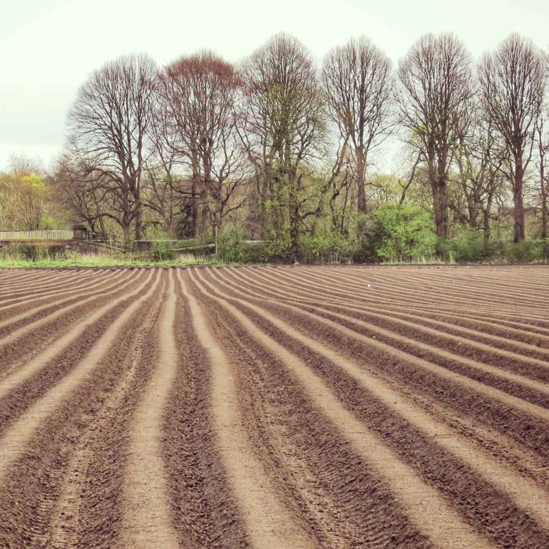 ploughed field, Preston
